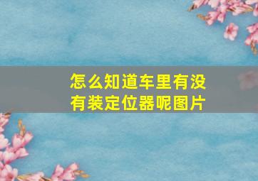 怎么知道车里有没有装定位器呢图片