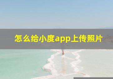 怎么给小度app上传照片