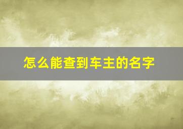 怎么能查到车主的名字