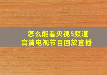 怎么能看央视5频道高清电视节目回放直播