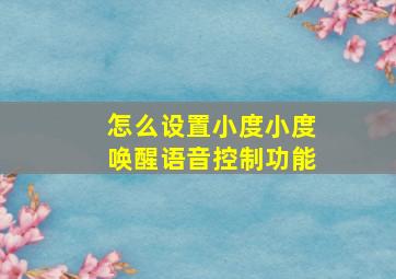 怎么设置小度小度唤醒语音控制功能