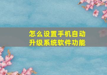 怎么设置手机自动升级系统软件功能