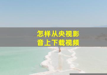 怎样从央视影音上下载视频