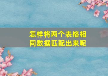 怎样将两个表格相同数据匹配出来呢