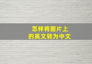 怎样将图片上的英文转为中文