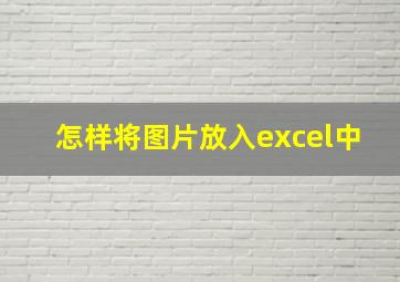 怎样将图片放入excel中