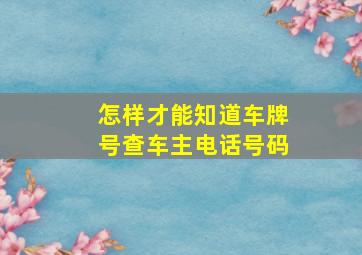 怎样才能知道车牌号查车主电话号码