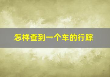 怎样查到一个车的行踪