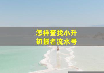 怎样查找小升初报名流水号