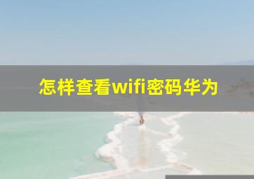 怎样查看wifi密码华为