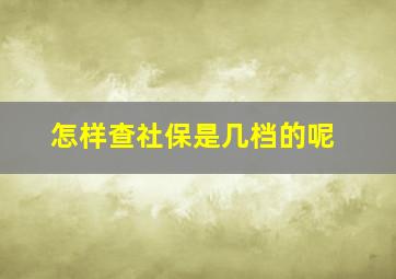 怎样查社保是几档的呢