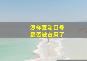 怎样查端口号是否被占用了