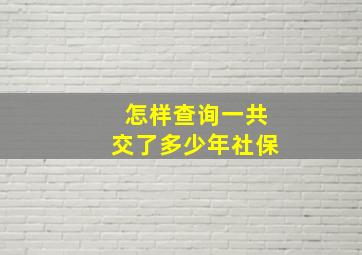 怎样查询一共交了多少年社保