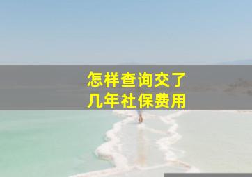 怎样查询交了几年社保费用