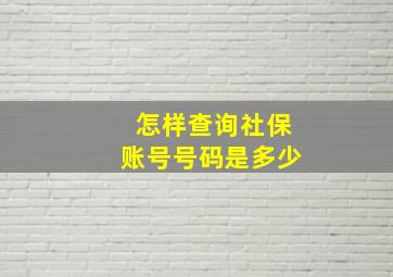 怎样查询社保账号号码是多少