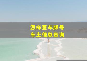 怎样查车牌号车主信息查询