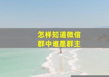 怎样知道微信群中谁是群主