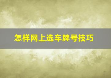 怎样网上选车牌号技巧