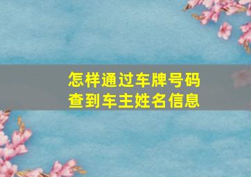 怎样通过车牌号码查到车主姓名信息