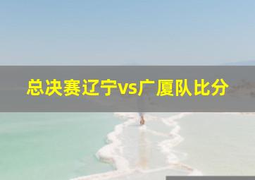 总决赛辽宁vs广厦队比分