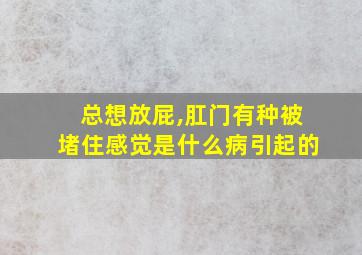 总想放屁,肛门有种被堵住感觉是什么病引起的