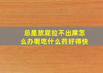 总是放屁拉不出屎怎么办呢吃什么药好得快