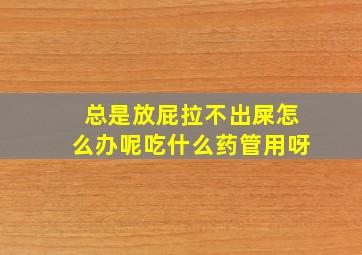 总是放屁拉不出屎怎么办呢吃什么药管用呀