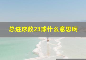 总进球数23球什么意思啊