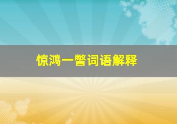 惊鸿一瞥词语解释