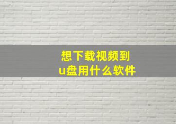 想下载视频到u盘用什么软件