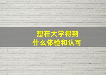 想在大学得到什么体验和认可