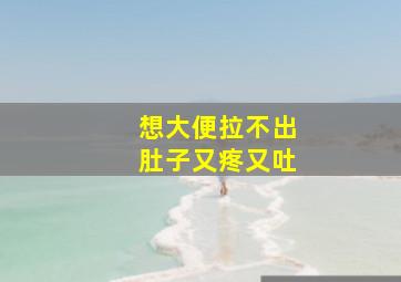 想大便拉不出肚子又疼又吐