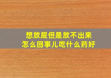 想放屁但是放不出来怎么回事儿吃什么药好