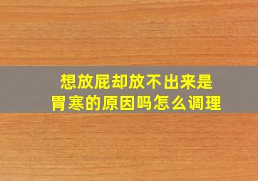 想放屁却放不出来是胃寒的原因吗怎么调理