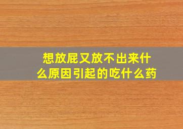 想放屁又放不出来什么原因引起的吃什么药