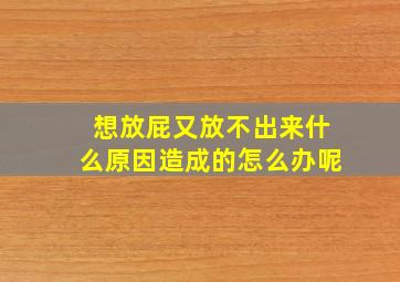 想放屁又放不出来什么原因造成的怎么办呢