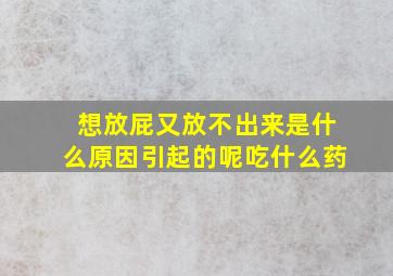 想放屁又放不出来是什么原因引起的呢吃什么药