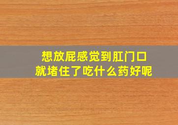 想放屁感觉到肛门口就堵住了吃什么药好呢