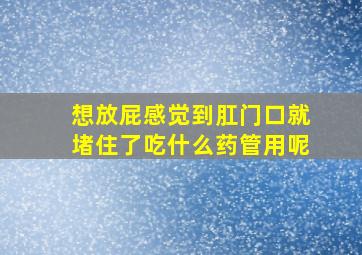 想放屁感觉到肛门口就堵住了吃什么药管用呢