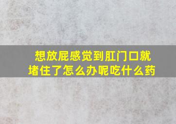 想放屁感觉到肛门口就堵住了怎么办呢吃什么药