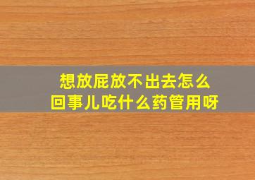 想放屁放不出去怎么回事儿吃什么药管用呀