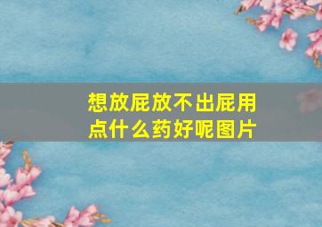 想放屁放不出屁用点什么药好呢图片