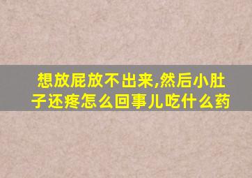 想放屁放不出来,然后小肚子还疼怎么回事儿吃什么药