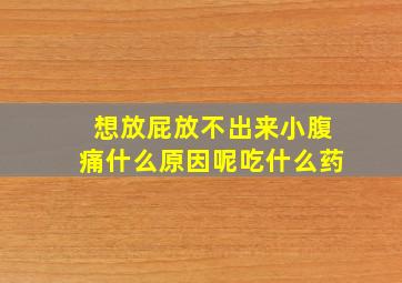 想放屁放不出来小腹痛什么原因呢吃什么药