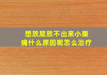 想放屁放不出来小腹痛什么原因呢怎么治疗