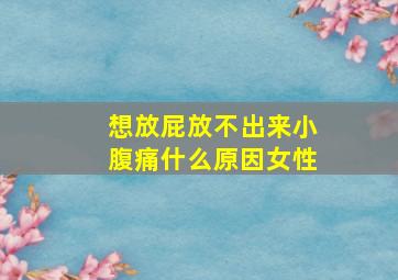 想放屁放不出来小腹痛什么原因女性