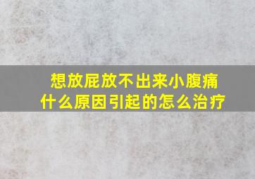 想放屁放不出来小腹痛什么原因引起的怎么治疗