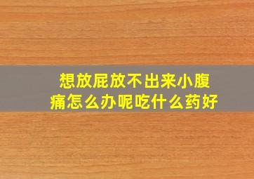 想放屁放不出来小腹痛怎么办呢吃什么药好