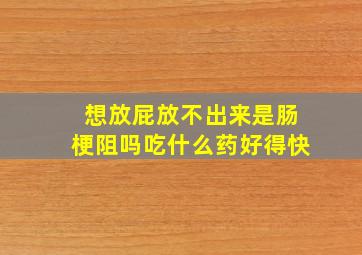 想放屁放不出来是肠梗阻吗吃什么药好得快