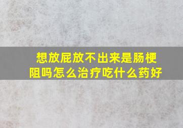 想放屁放不出来是肠梗阻吗怎么治疗吃什么药好